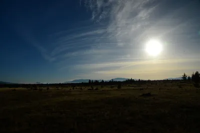 DSC_3019 (Large).JPG